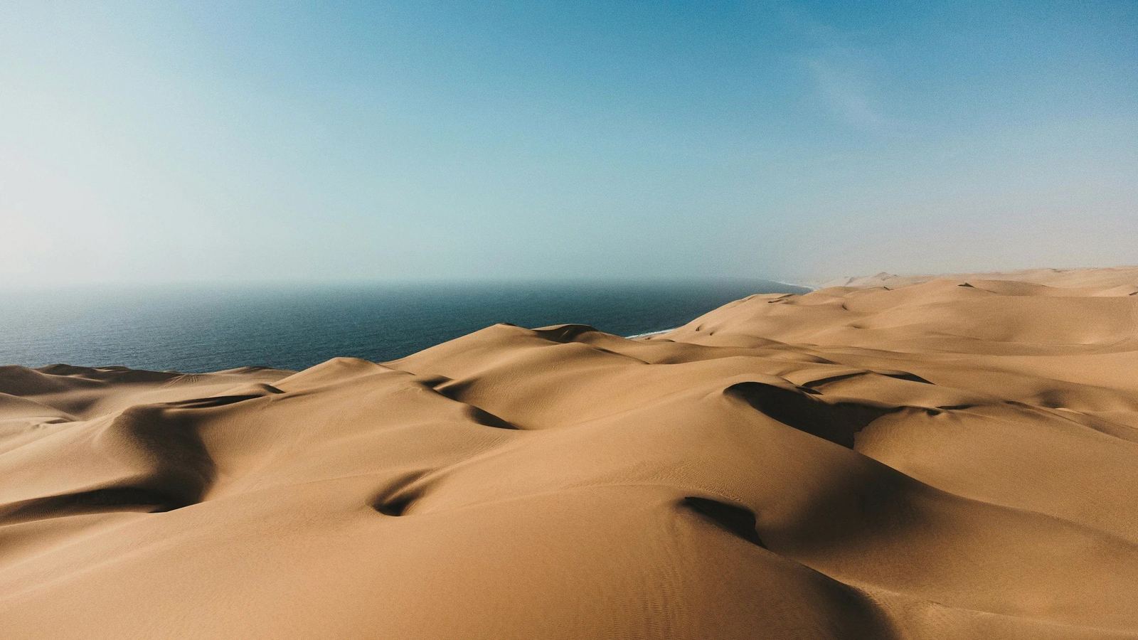 Red dunes descending toward the Atlantic